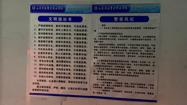 公共安全系开展